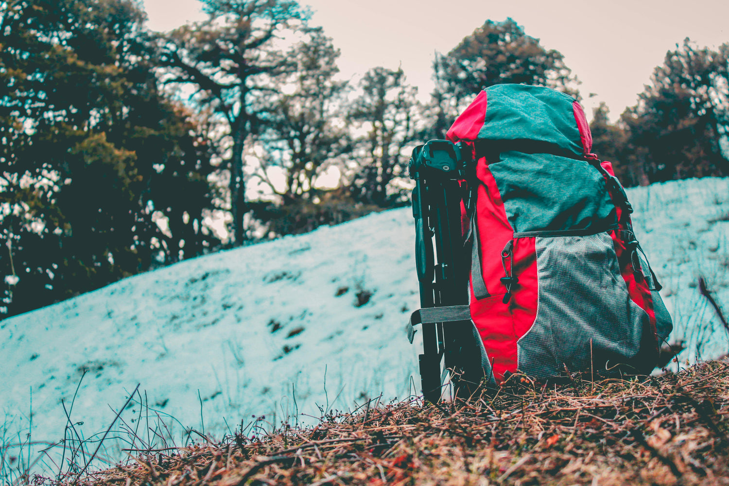 Backpacks & Bags